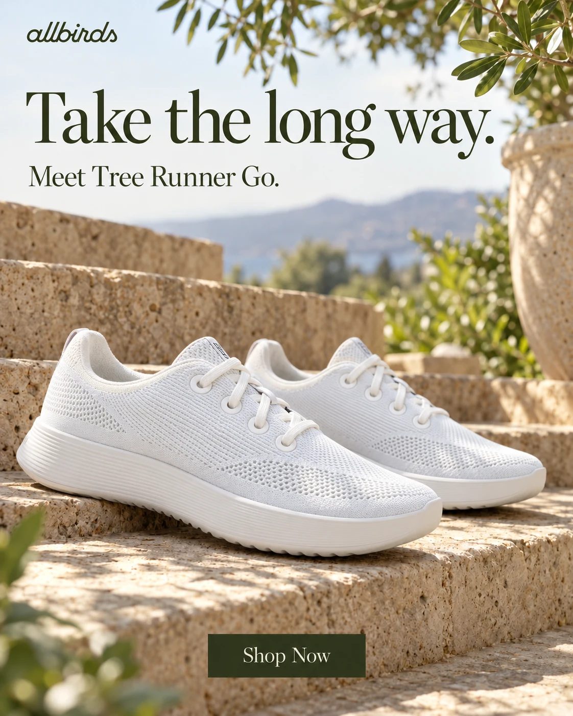 Allbirds campaign creative