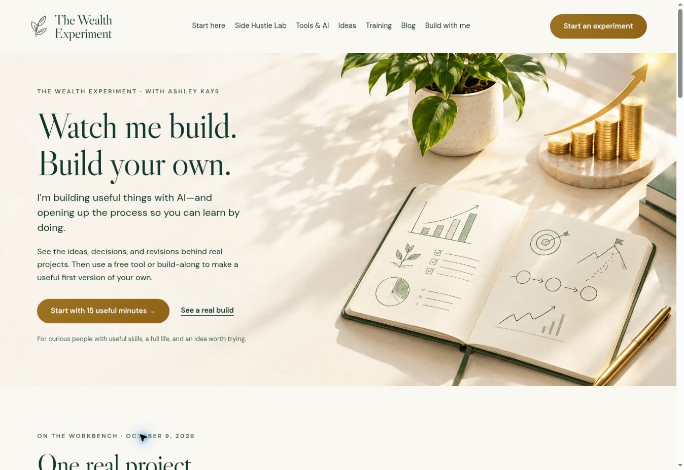 The Wealth Experiment homepage screenshot
